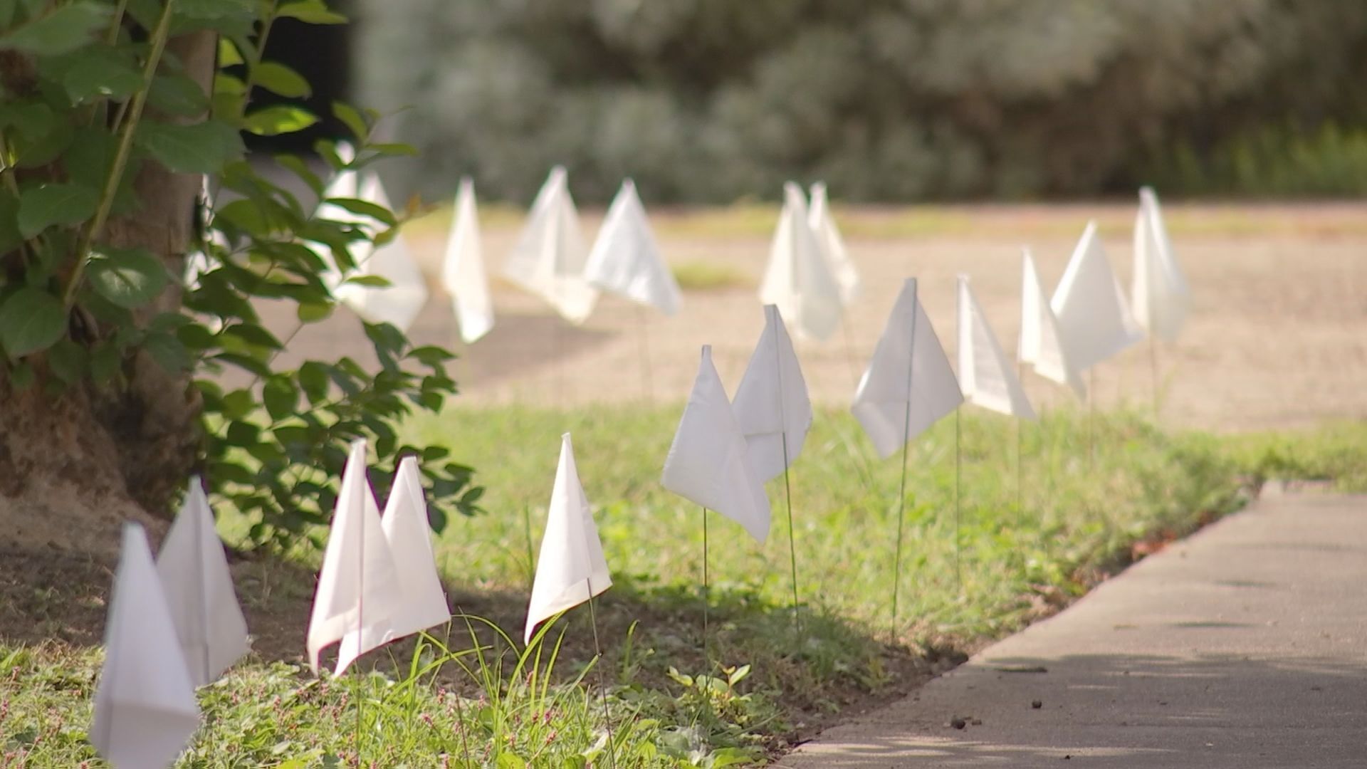 covid flags1.jpg